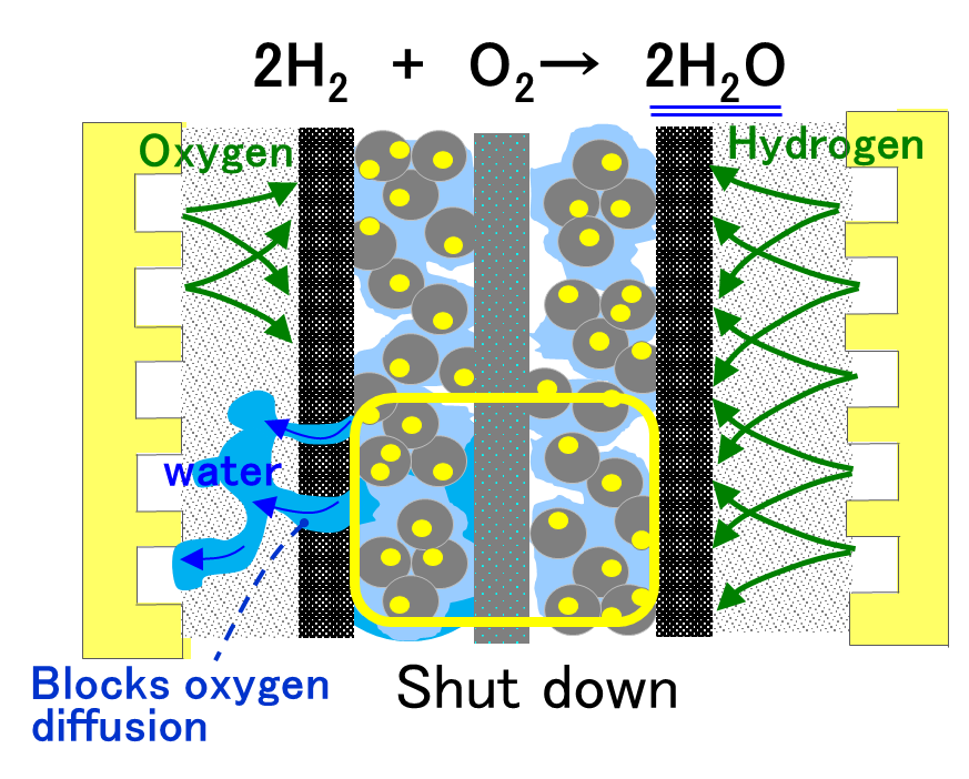 Mass transport in polymer electrolyte fuel cells.